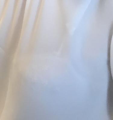 あなたの新しいセクシーな同僚